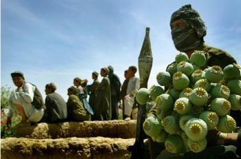 Record Opium Crop Sponsored by US in Afghanistan Expected to Kill Hundreds of Thousands Around the World