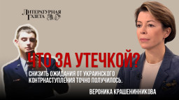 Что за утечкой? Снизить ожидания от украинского контрнаступления точно получилось.