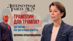 Трамплин для Трампа? Две партии - как два кулака боксёра