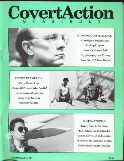 46, Fall 1993.pdf