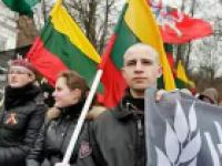 Мониторинг проявлений ксенофобских настроений, экстремизма и возрождения неонацизма за январь 2013 года в Литовской Республике