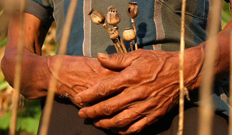 Опиум, ЦРУ и администрация Карзая — Питер Дейл Скотт, "La Tribune", Франция
